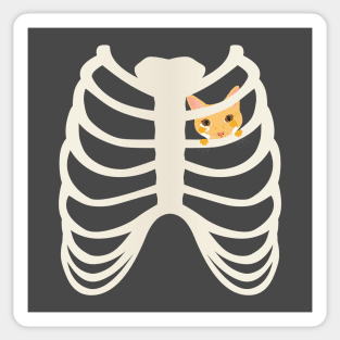 Cat in a heart Sticker